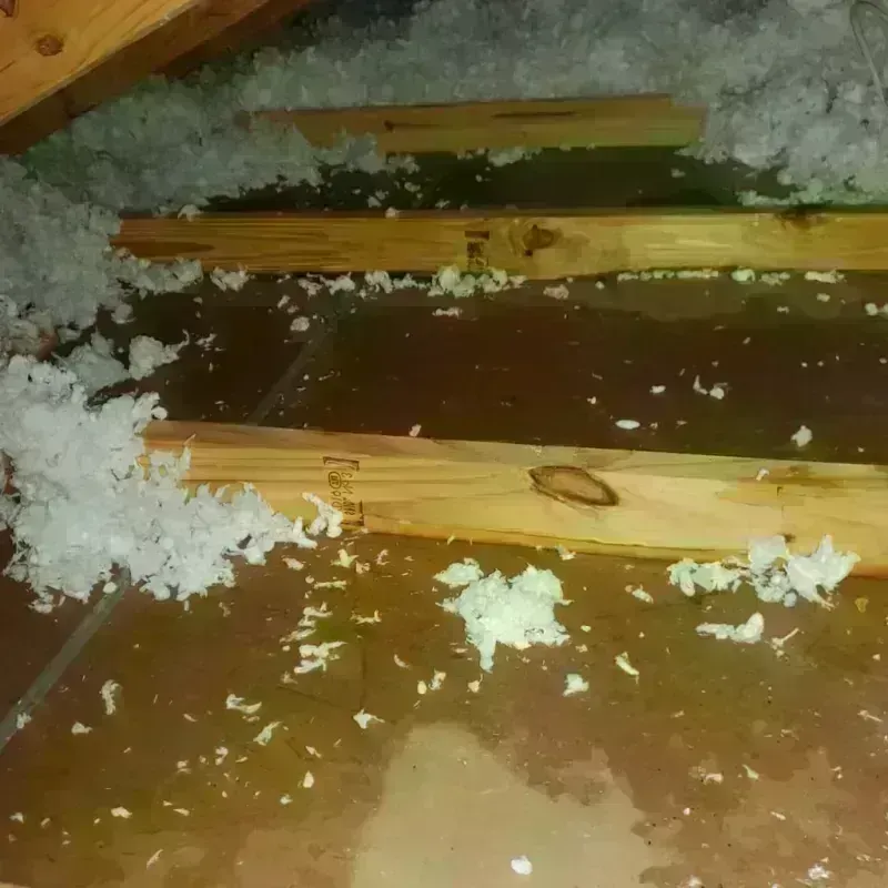 Best Attic Water Damage Service in Havana, FL