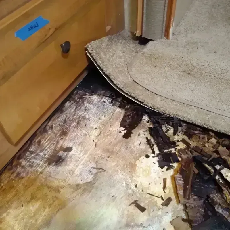 Best Wood Floor Water Damage Service in Havana, FL